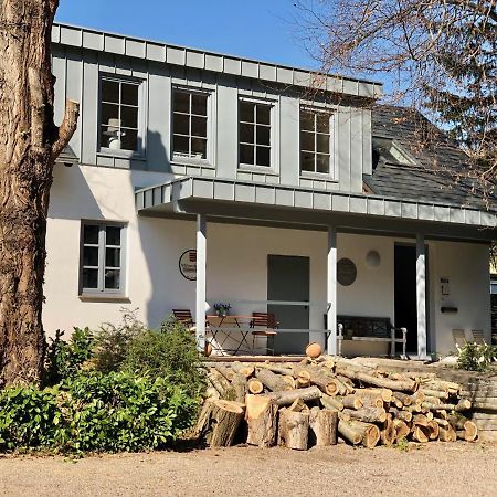 טראבן-טרארבאך Ferienwohnung Weingut Villa Huesgen Am Moenchhof מראה חיצוני תמונה